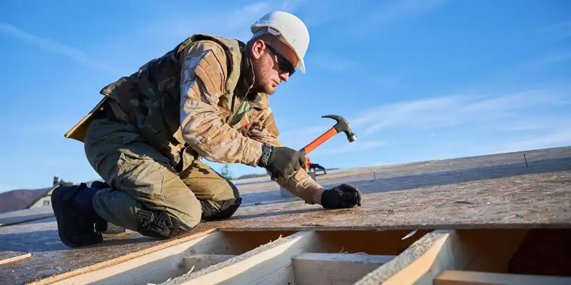 Démoussage de Toiture